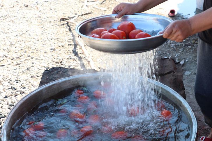 Samsun'da kış hazırlığı yapan kadınların salça ve konserve mesaisi G4