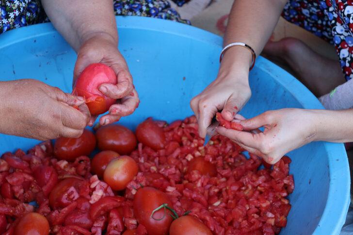 Samsun'da kış hazırlığı yapan kadınların salça ve konserve mesaisi G5