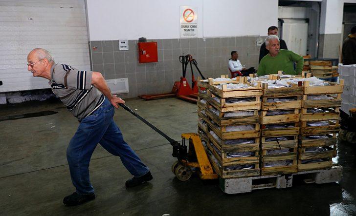 Samsun'da balık haline gelen 5 bin kasa palamut bir saatte tükendi G5