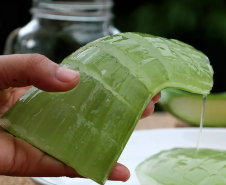 Bağışıklıklar düştü uçuklar artmaya başladı! Uçuğu en kısa sürede geçirmek için etkili yöntem G1