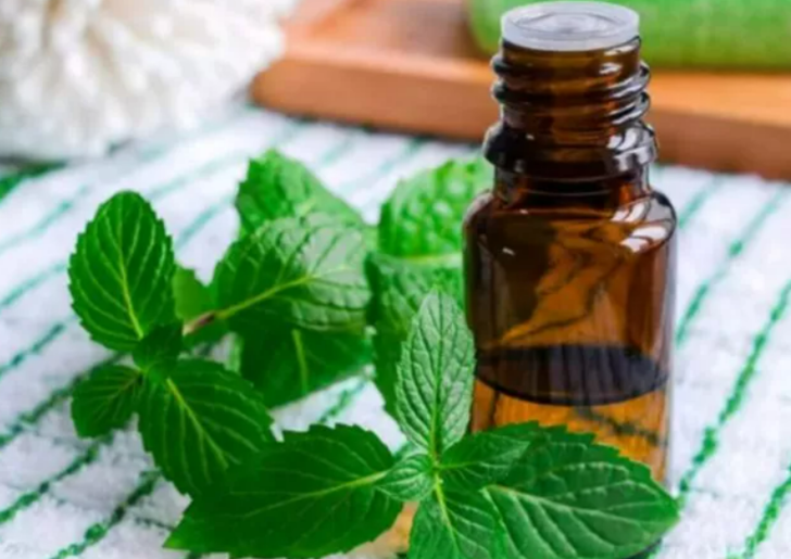 Bağışıklıklar düştü uçuklar artmaya başladı! Uçuğu en kısa sürede geçirmek için etkili yöntem G3