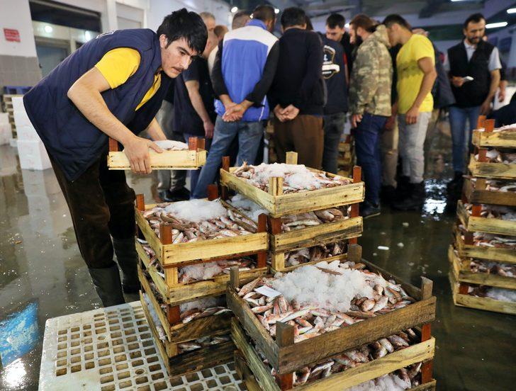 Karadenizli balıkçılar bol palamut avlamaya devam ediyor G5