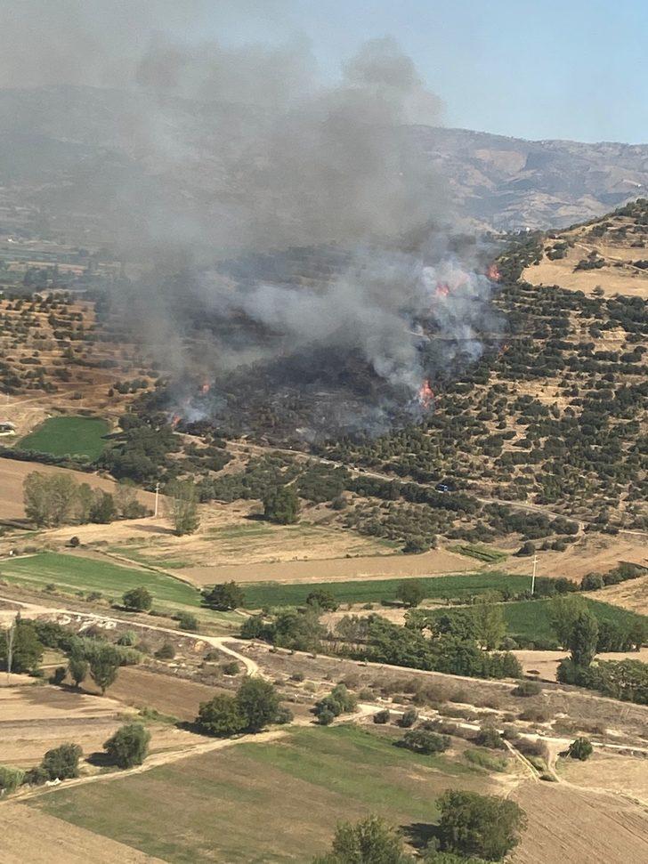 İzmir'de makilik alanda çıkan yangına müdahale ediliyor G1
