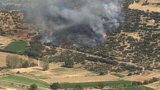 İzmir'de makilik alanda çıkan yangına müdahale ediliyor