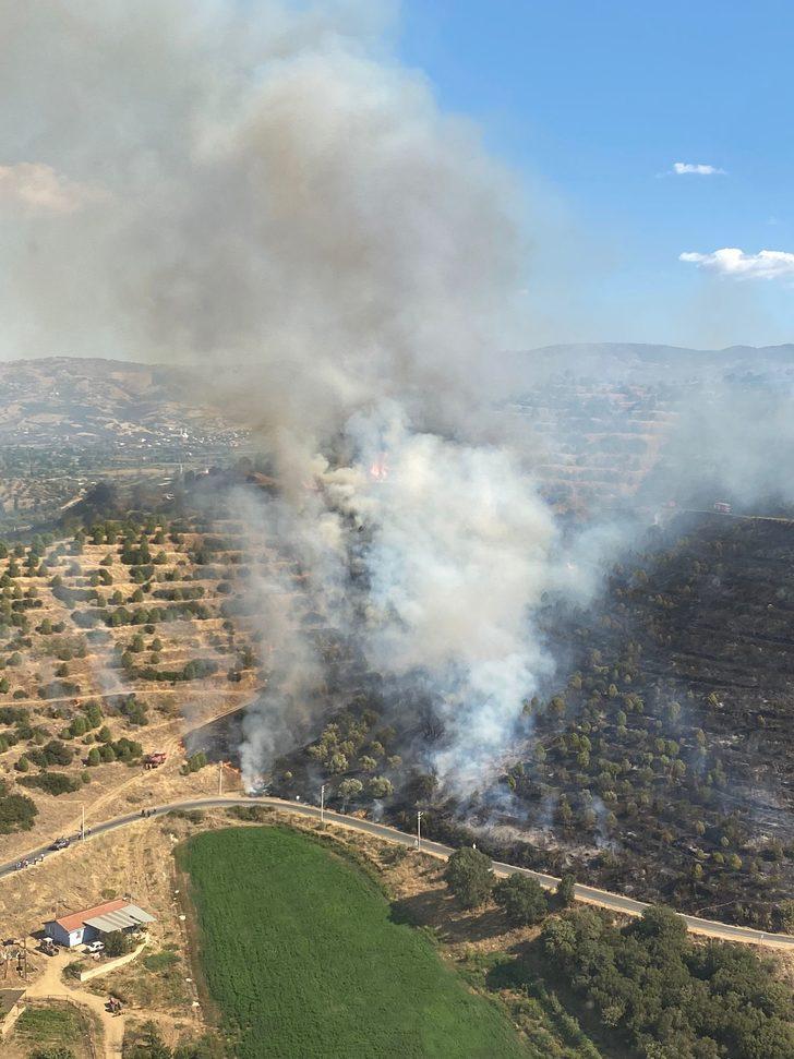 İzmir'de makilik alanda çıkan yangına müdahale ediliyor G2