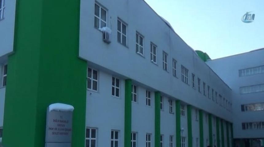 Giresun’da domuz gribi paniği!