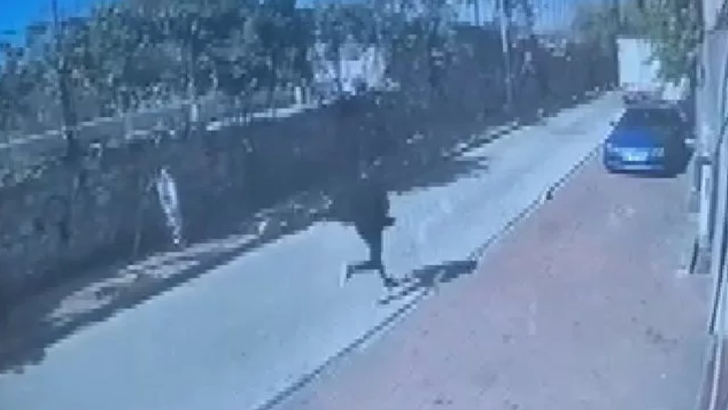 Arkadaşı her şeyi itiraf etti, cinayetleri tüm ayrıntılarıyla anlattı! İstanbul'u karıştıran olayda şok detay: Başında mermi çekirdeğiyle yaşıyormuş G3