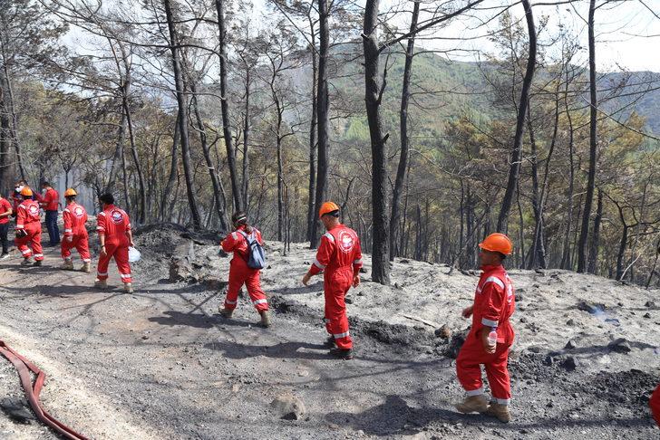GÜNCELLEME 2 - Marmaris'te orman yangınına havadan ve karadan müdahale ediliyor G2