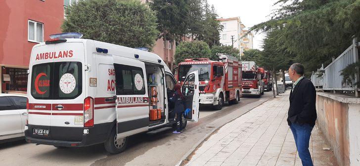 Çorum'da dumandan etkilenen kedi, oksijen maskesiyle hayatta tutuldu G3