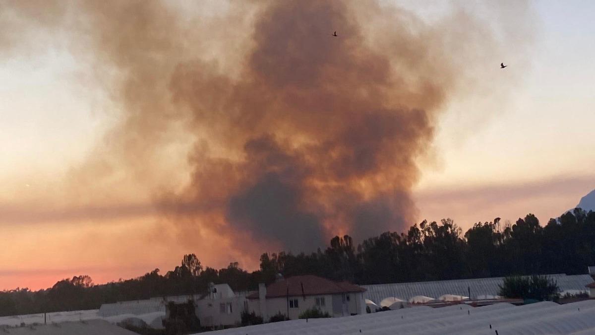 Kaş'ta ormanlık alanda yangın &ccedil;ıktı