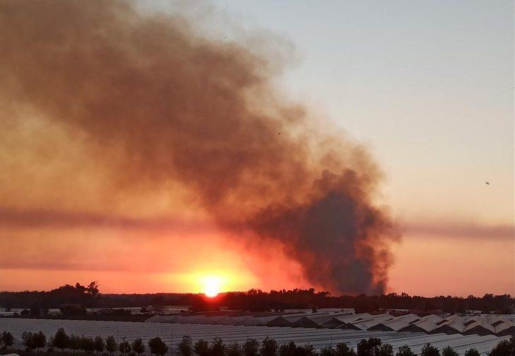 GÜNCELLEME - Kaş'ta ormanlık alanda yangın çıktı G3
