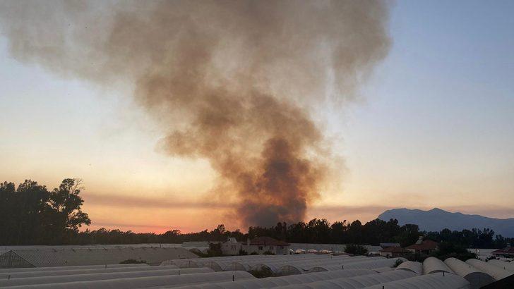 GÜNCELLEME - Kaş'ta ormanlık alanda yangın çıktı G4