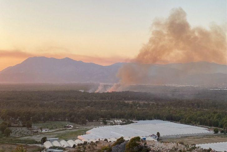 GÜNCELLEME - Kaş'ta ormanlık alanda yangın çıktı G5
