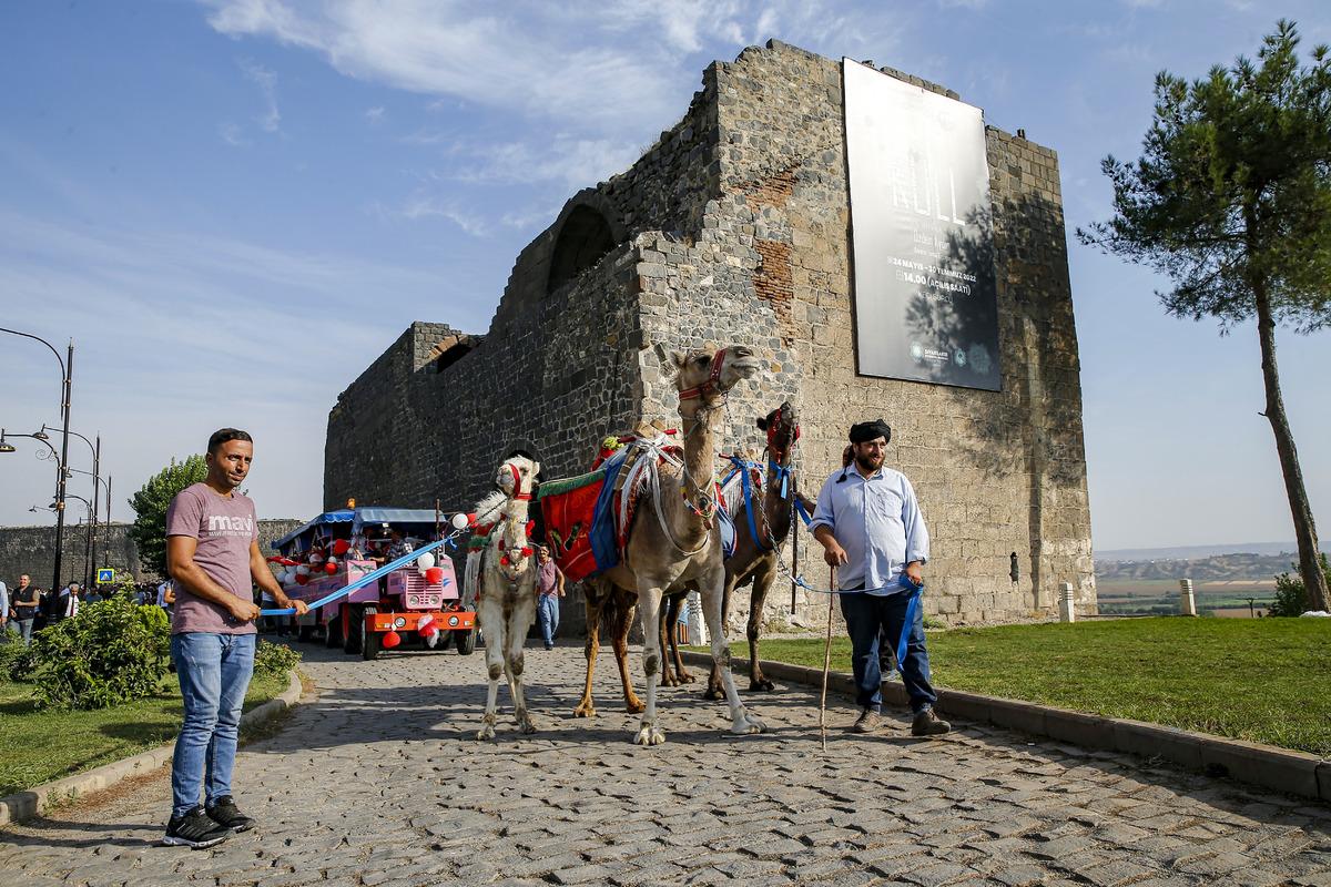 Diyarbakır'da "12. Karpuz Festivali" d&uuml;zenlendi
