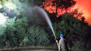 Marmaris'teki orman yangınına müdahale karadan devam ediyor