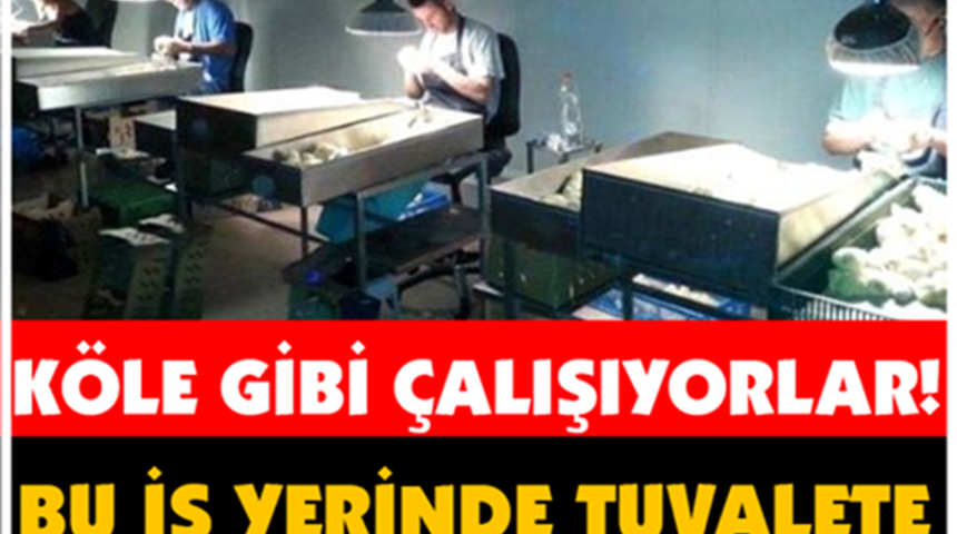 Bu İşyerinde &Ccedil;alışanlara Tuvalete Gitmek Yasak Altlarına Bez Bağlıyorlar