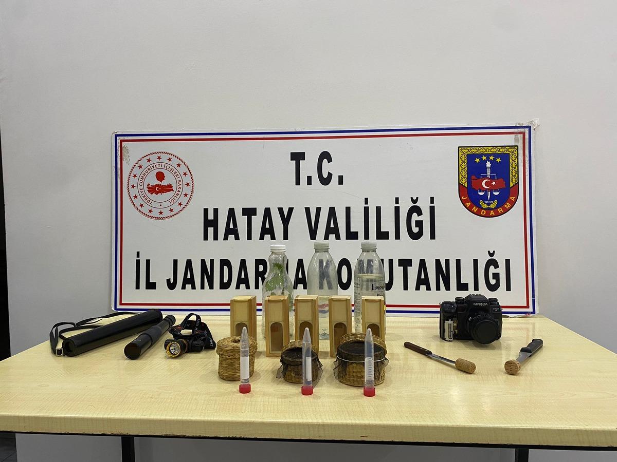 Hatay'da b&ouml;cek t&uuml;rlerini yasa dışı toplayan yabancı uyrukluya para cezası