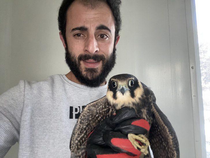 Erzurum'da tedavi edilen kerkenez, doğan ve  kızıl şahin doğaya salındı G4