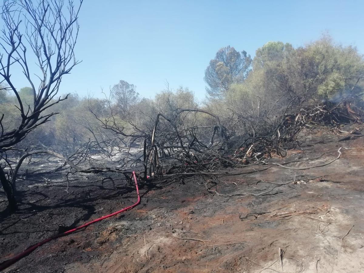 Kaş'ta ağa&ccedil;landırma sahasında &ccedil;ıkan yangın kontrol altına alındı