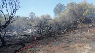 Kaş'ta ağaçlandırma sahasında çıkan yangın kontrol altına alındı