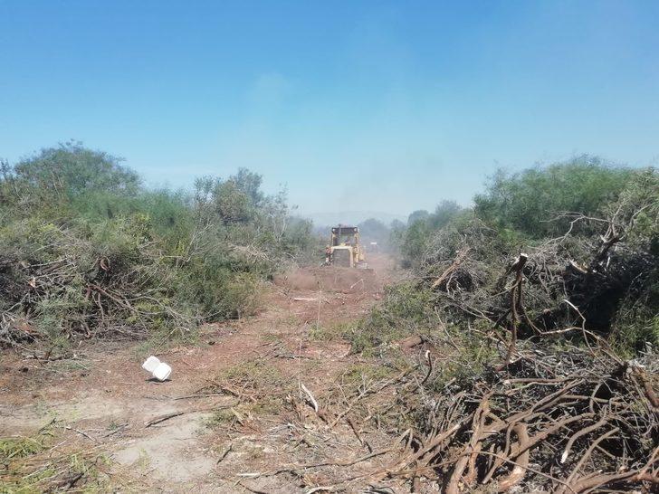 Kaş'ta ağaçlandırma sahasında çıkan yangın kontrol altına alındı G2