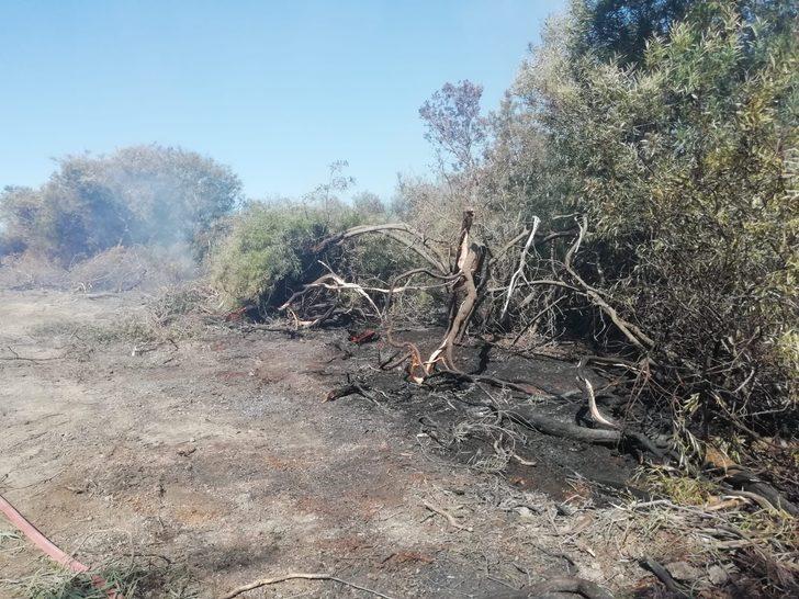 Kaş'ta ağaçlandırma sahasında çıkan yangın kontrol altına alındı G4
