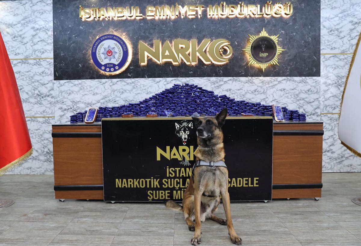 İstanbul'da uyuşturucu operasyonunda 73 kilo 550 gram afyon sakızı ele ge&ccedil;irildi