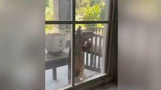 Penceresini tıklatan yabancı yüreğini ağzına getirdi! Korku dolu anları sosyal medya hesabında paylaştı