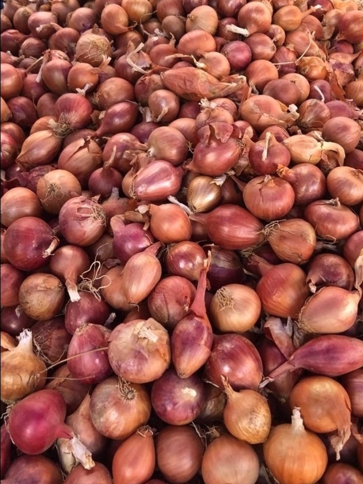 "Tekirdağ soğanı" coğrafi işaretle tescillendi