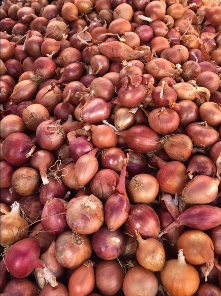 "Tekirdağ soğanı" coğrafi işaretle tescillendi G1