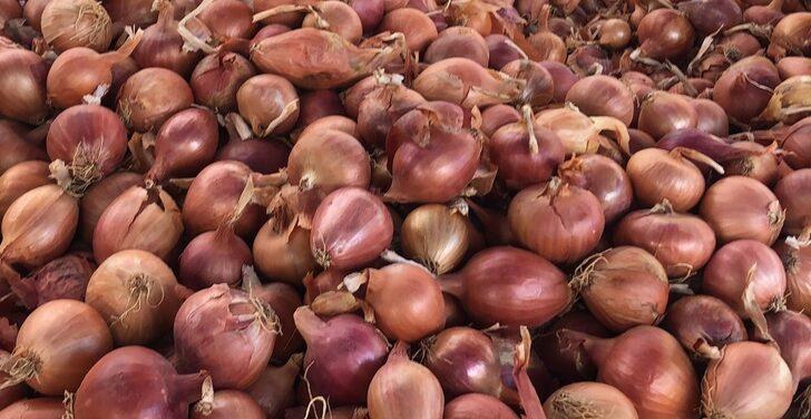 "Tekirdağ soğanı" coğrafi işaretle tescillendi G2