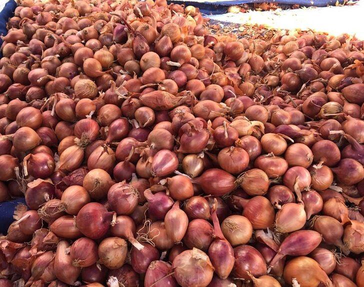 "Tekirdağ soğanı" coğrafi işaretle tescillendi G3