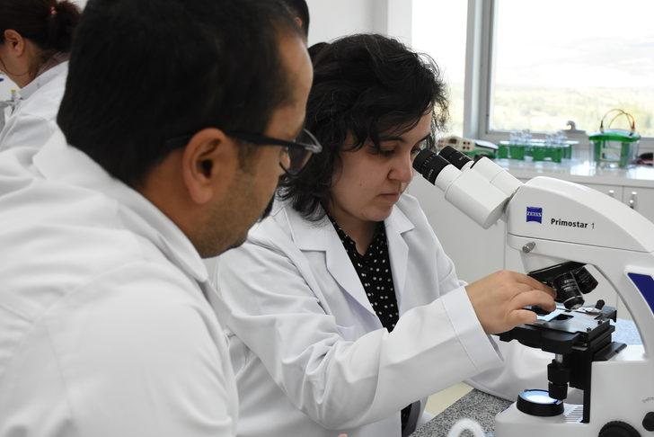 Bilecik'te araştırmacılar kas erimesi hastaları için yeni bir tedavi üzerinde çalışıyor G5