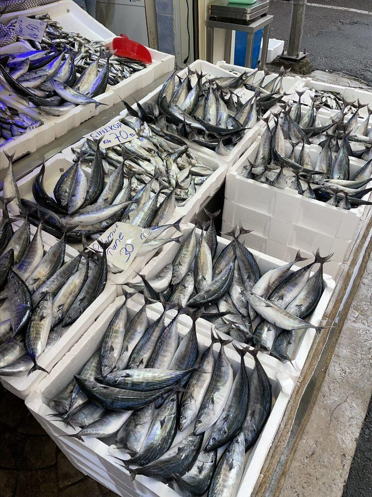 Ordu'da balıkçı tezgahlarında palamut bolluğu yaşanıyor G2