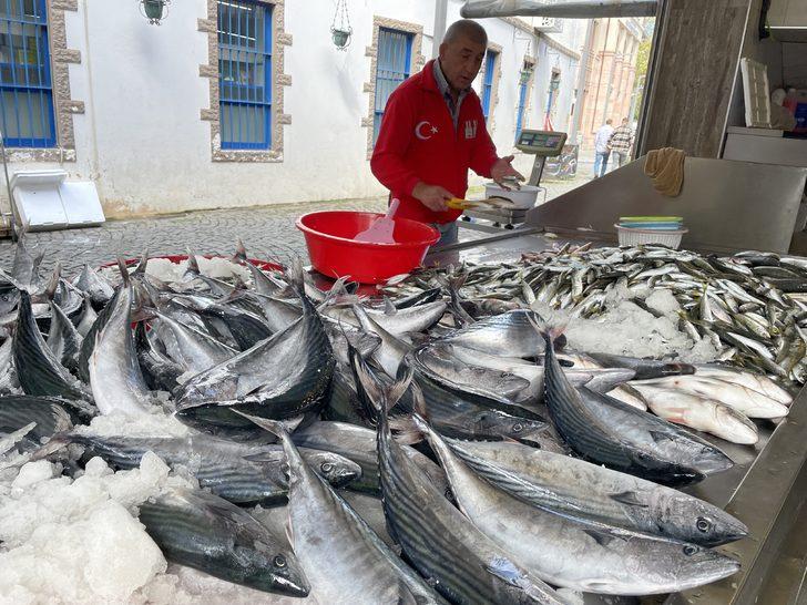 Ordu'da balıkçı tezgahlarında palamut bolluğu yaşanıyor G5