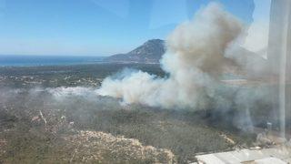 Kaş'ta ağaçlandırma sahasındaki yangın yeniden başladı