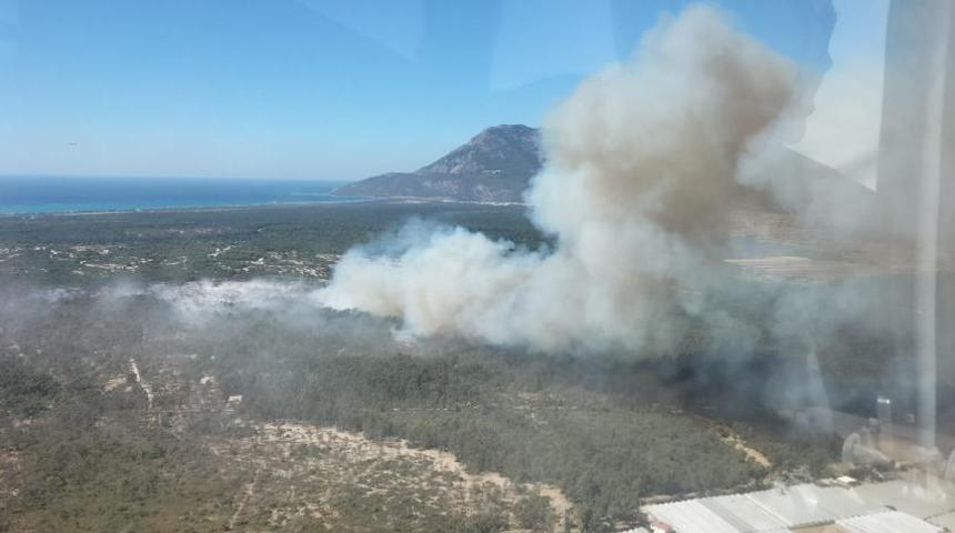 Kaş'ta ağaçlandırma sahasındaki yangın yeniden başladı