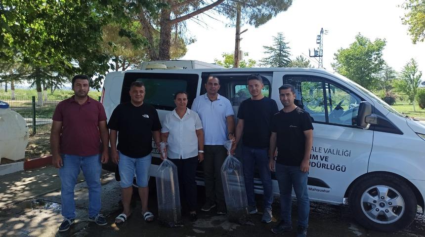 Edirne'de yetiştirilen 9 milyon sazan yavrusu Marmara Bölgesi'ndeki göl ve göletlere salındı