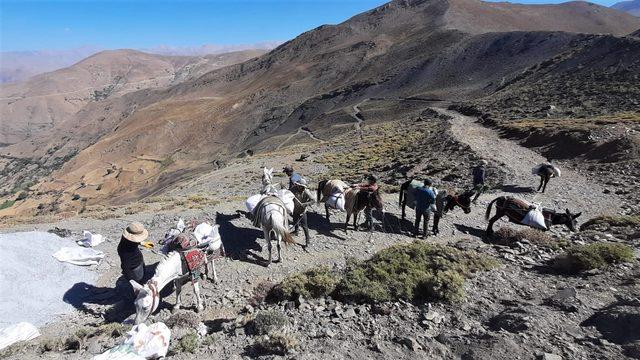 3 bin 500 rakımdaki su kaynağında çalışma yapmak için katırlarla malzeme taşıdılar