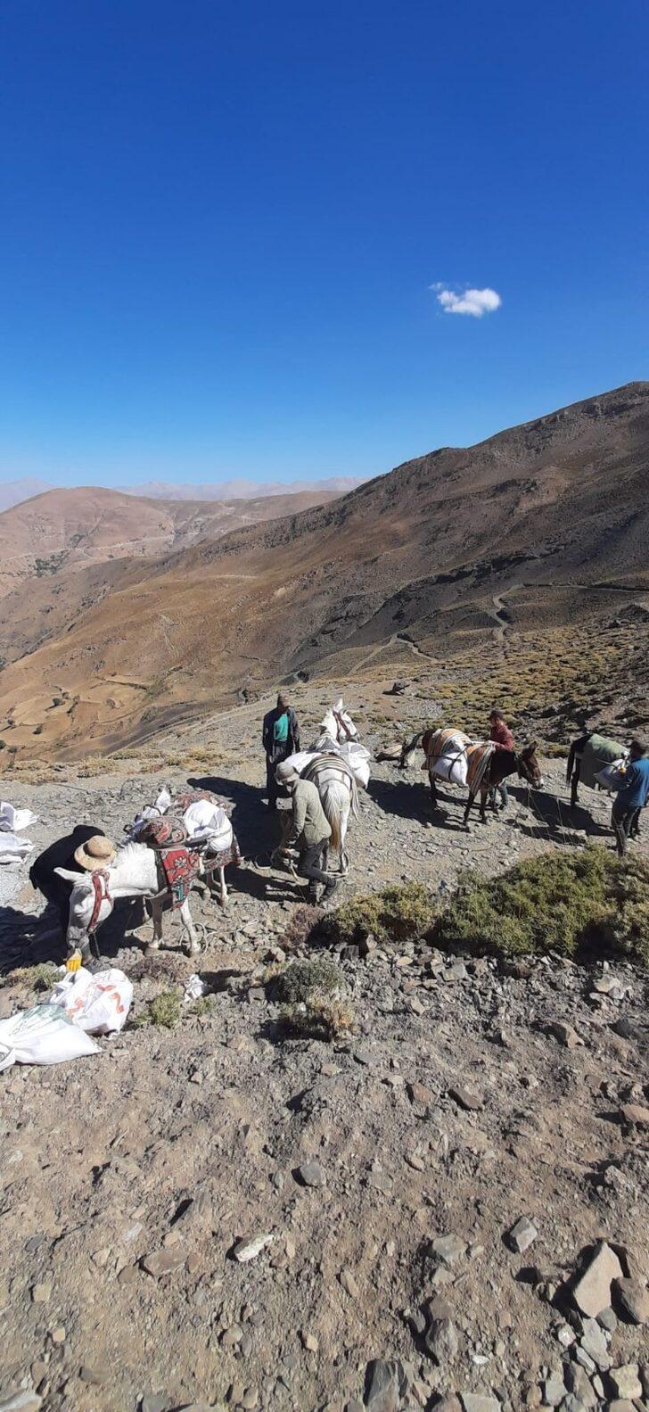 3 bin 500 rakımdaki su kaynağında çalışma yapmak için katırlarla malzeme taşıdılar G4