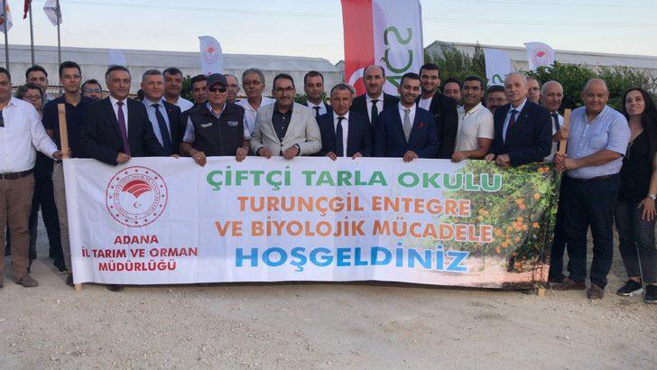 Adana'da narenciye alanlarına faydalı böcek salındı G1