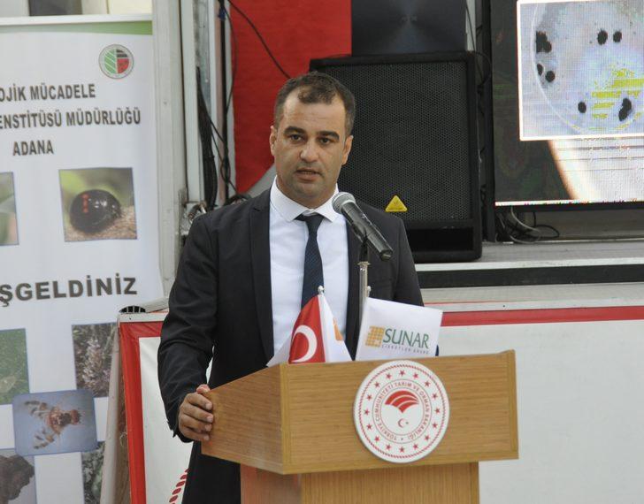 Adana'da narenciye alanlarına faydalı böcek salındı G4