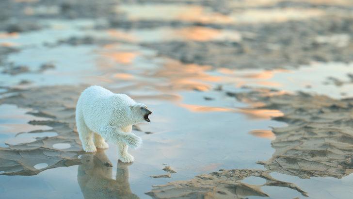 Baba Vanga'nın kehanetleri korku saldı! Karanlık çağ, laboratuvar bebekleri, yeni dünya lideri ve daha fazlası... G2
