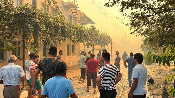 GÜNCELLEME - Kaş'ta ağaçlandırma sahasında yeniden çıkan yangın seralara sıçradı G3