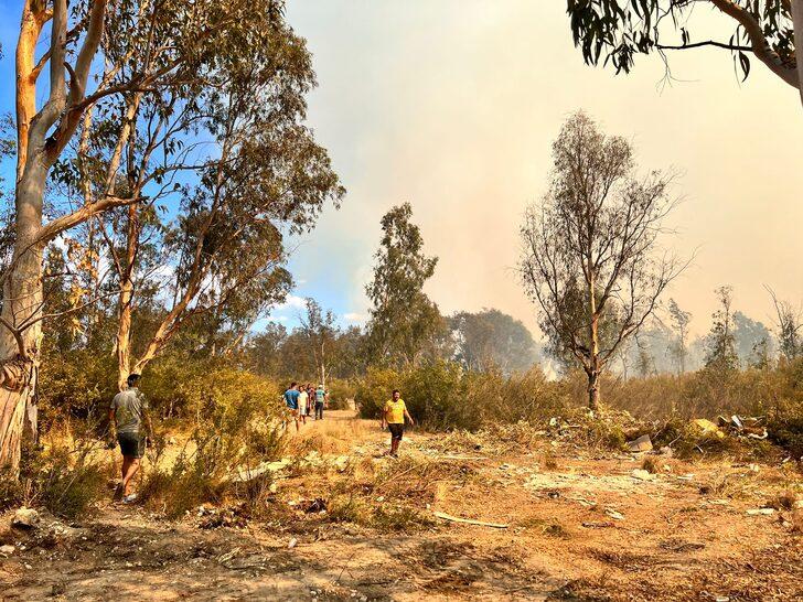 GÜNCELLEME - Kaş'ta ağaçlandırma sahasında yeniden çıkan yangın seralara sıçradı G4