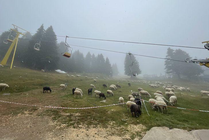 Uludağ'da mevsimin ilk kar yağışı etkili oluyor G4