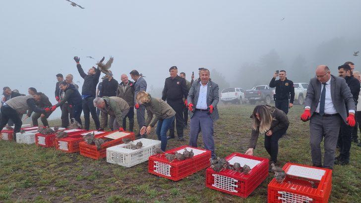 Düzce'de 1000 kınalı keklik doğaya bırakıldı G2
