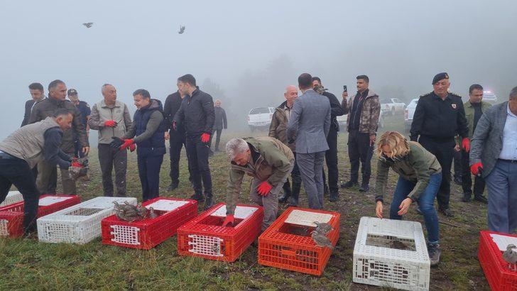 Düzce'de 1000 kınalı keklik doğaya bırakıldı G3