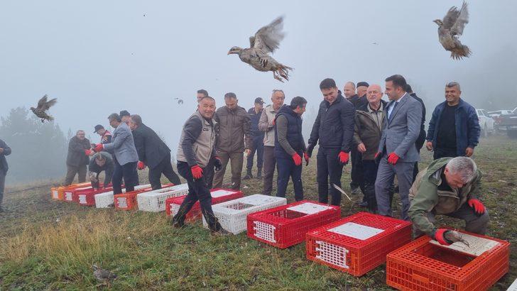 Düzce'de 1000 kınalı keklik doğaya bırakıldı G4