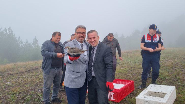 Düzce'de 1000 kınalı keklik doğaya bırakıldı G5